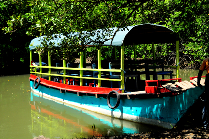 traditional boat that we use on mangrove tour