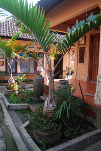 Homestay House