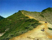 Ijen miner track